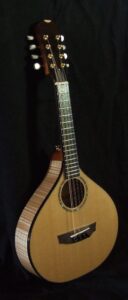 My Grand Nordwall Cittern