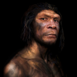 Neandertahl - National Nature Museum of Denmark