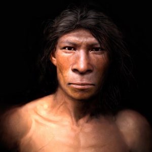 Neandertahl
In The Land Of The Mammoth Hunters